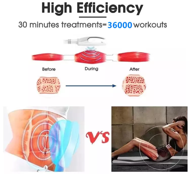 Best Ems Body Sculpt Machine